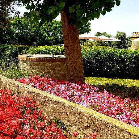 Punta Dei Lecci Villa Riparbella Kültér fotó
