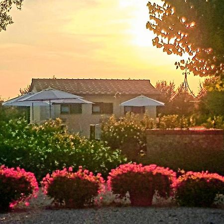Punta Dei Lecci Villa Riparbella Kültér fotó