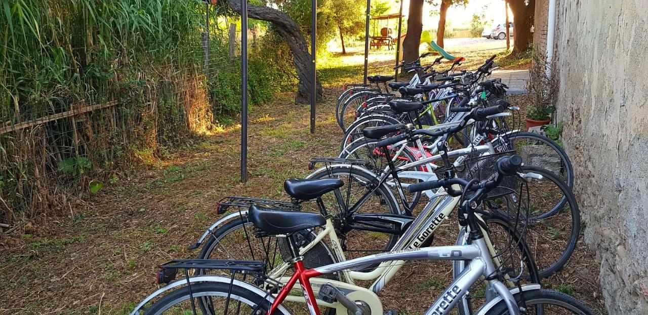Punta Dei Lecci Villa Riparbella Kültér fotó