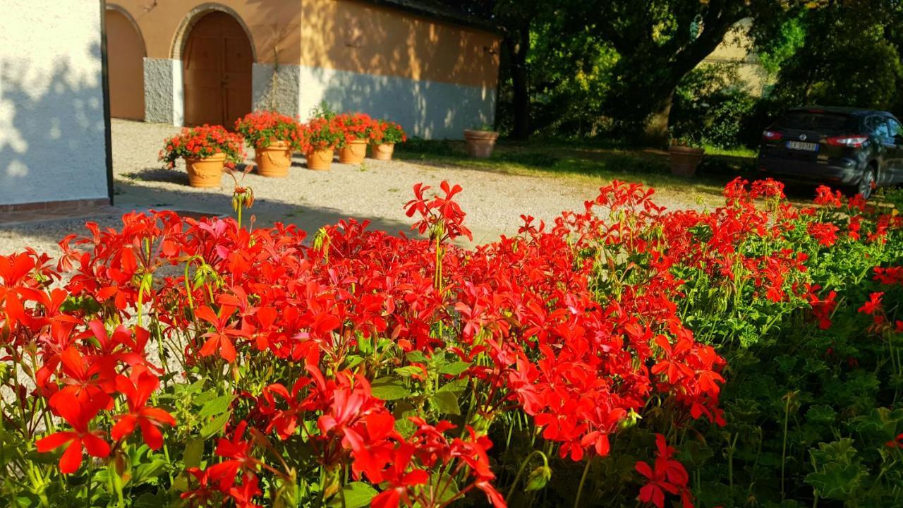 Punta Dei Lecci Villa Riparbella Kültér fotó