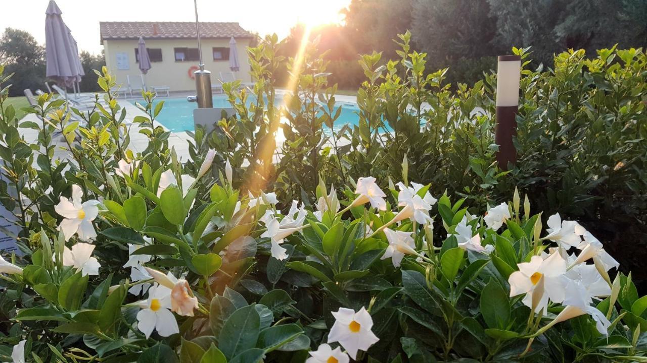Punta Dei Lecci Villa Riparbella Kültér fotó