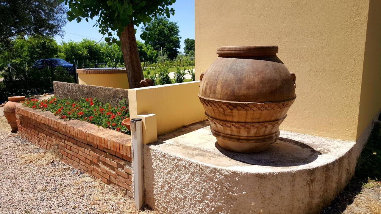 Punta Dei Lecci Villa Riparbella Kültér fotó
