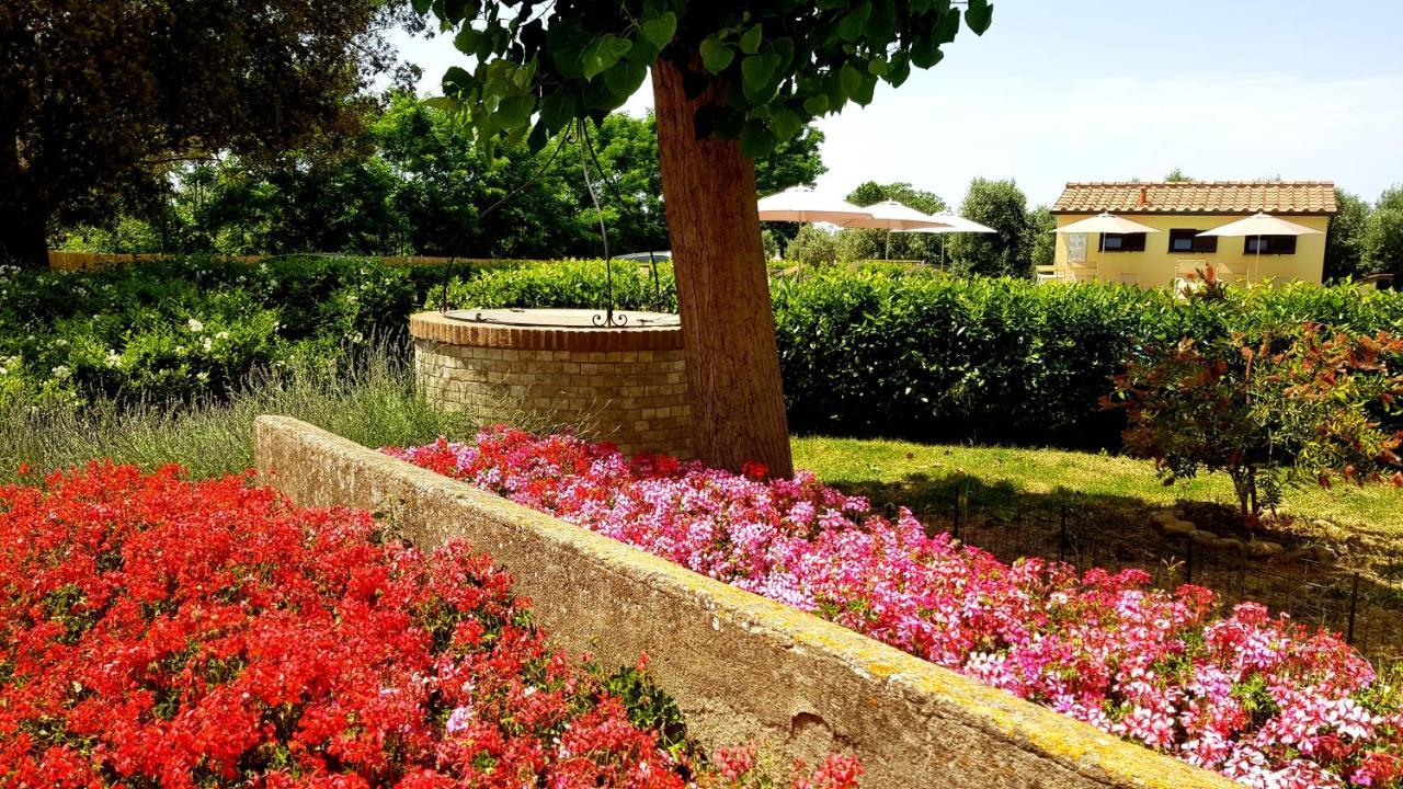 Punta Dei Lecci Villa Riparbella Kültér fotó
