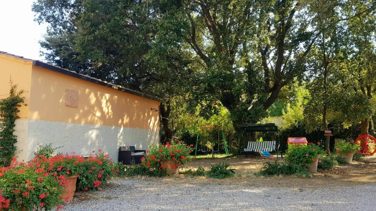 Punta Dei Lecci Villa Riparbella Kültér fotó